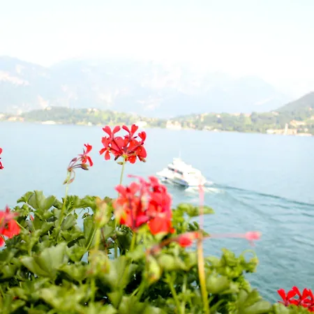 Hotel Bazzoni 3*